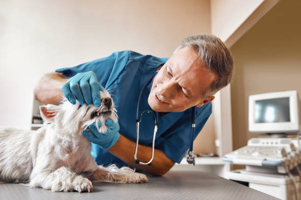  Kennedale, TX Emergency Dentist Pros